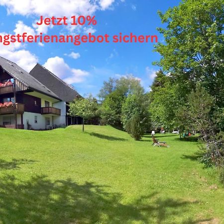 Naturidyll Am Fluss - Ferienhaus Albmatte - Grosser Garten Zum Grillen Und Entspannen-Direkt Neben Dem Radon Revitalbad Mit Sauna Und Thermalbecken St. Blasien Exteriér fotografie