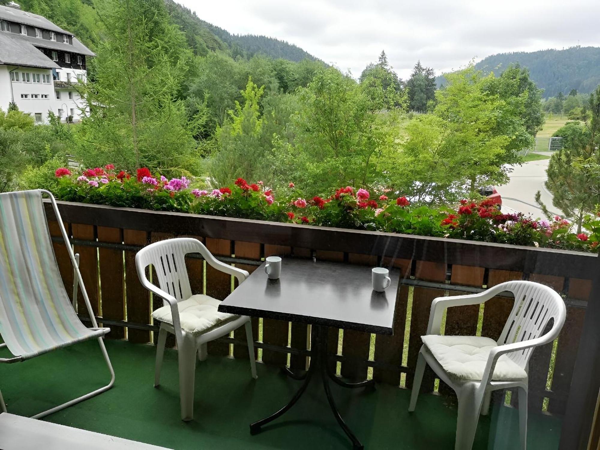 Naturidyll Am Fluss - Ferienhaus Albmatte - Grosser Garten Zum Grillen Und Entspannen-Direkt Neben Dem Radon Revitalbad Mit Sauna Und Thermalbecken St. Blasien Exteriér fotografie