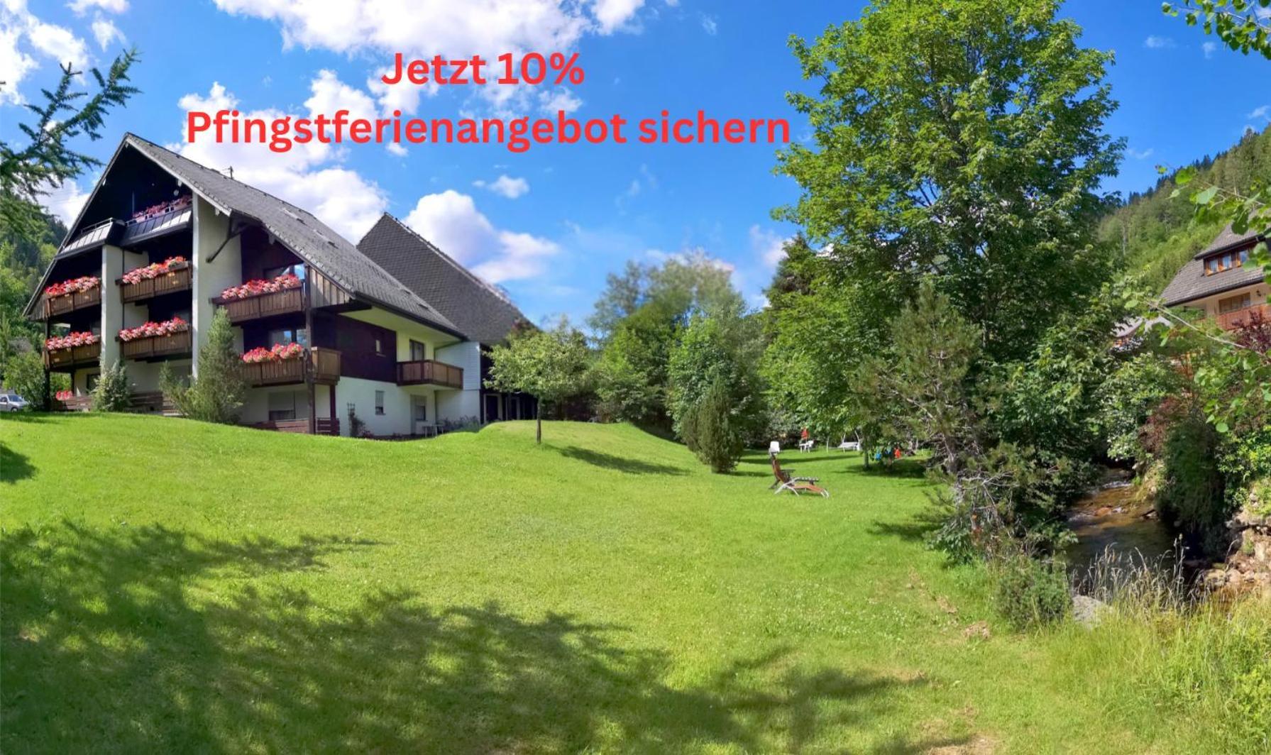 Naturidyll Am Fluss - Ferienhaus Albmatte - Grosser Garten Zum Grillen Und Entspannen-Direkt Neben Dem Radon Revitalbad Mit Sauna Und Thermalbecken St. Blasien Exteriér fotografie
